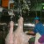 Cattle Carcass Re hanging Lifting Machine