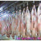 Goat Slaughter Machine Processing Manual Conveying Rail For Abattoir Equipment