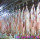 Goat Slaughter Machine Processing Manual Conveying Rail For Abattoirs