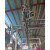 Cattle Carcass Processing Stepping Conveyor