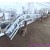 Cattle Slaughter Acclivitous Quarter Carcass Descending Machine