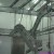 Cattle Slaughter Acclivitous Quarter Carcass Descending Machine