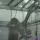 Cattle Abattoir Equipment Acclivitous Quarter Carcass Descending Machine