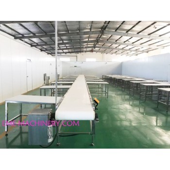 Single Layer Carcass Boneless Belt Conveyor