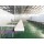 Cattle Slaughter Eequipment Single Layer Carcass Boneless Belt Conveyor