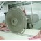 Pig Abattoir Horizontal Type Segmented saw