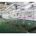 Sheep Slaughtering Viscera Synchronous Quarantine Conveyor For Goat Slaughter
