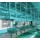 Sheep Slaughtering Viscera Synchronous Quarantine Conveyor For Goat Slaughter