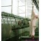 Sheep Slaughtering Viscera Synchronous Quarantine Conveyor For Goat Slaughter