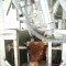Cattle Slaughter Pneumatically Gun For Slaughtering Equipment