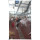 Sheep Slaughterhouse Processing Automatic Conveying Rail For Abattoirs