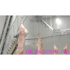 Pig Slaughter Machine Bleeding Shackle For Abattoir Equipment