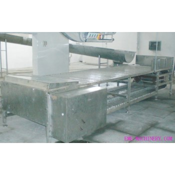 Pig Abattoir Horizontal Type Killing And Bleeding Conveyor