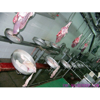 Sheep Slaughtering Viscera Synchronous Quarantine Conveyor For Slaughter Machine