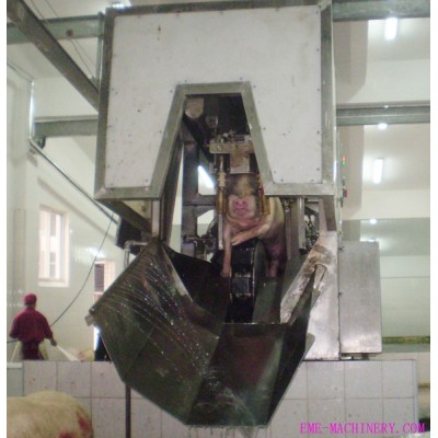 Three Points Electric Stunning Conveyor