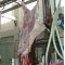 Cattle Skin Remove Machine For Abattoir Equipment