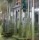 Cattle Skin Remove Machine For Abattoir Equipment