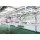 Viscera Synchronous Quarantine Conveyor For Abattoir Equipment