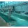 Viscera Synchronous Quarantine Conveyor For Abattoir Equipment