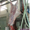 Cattle Skin Remove Machine/Hide Puller For Abattoir Equipment