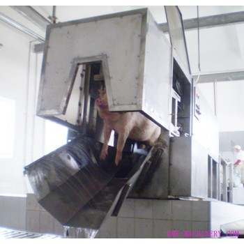 Three Points Electric Stunning Conveyor Abattoir Machinery