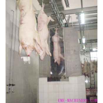 Pig Pre Cleaning Machine For Abattoir Equipment