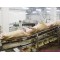 Pre Peeling Conveyor For Abattoir Machine