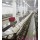 Pre Peeling Conveyor For Abattoirs Equipment