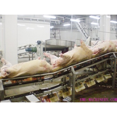 Pre Peeling Conveyor For Abattoirs Equipment