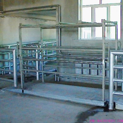 Living Cattle Gross Weight Scale System For Abattoirs Plant