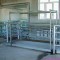 Living Cattle Gross Weight Scale System For Abattoirs Plant