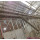 Red Viscera Synchronous Quarantine Conveyor For Abattoir Plant