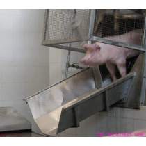 Pig Sliding Chute For Abattoirs Equipment