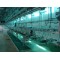 Viscera Synchronous Quarantine Conveyor For Abattoir Equipment