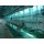 Viscera Synchronous Quarantine Conveyor For Abattoir Equipment