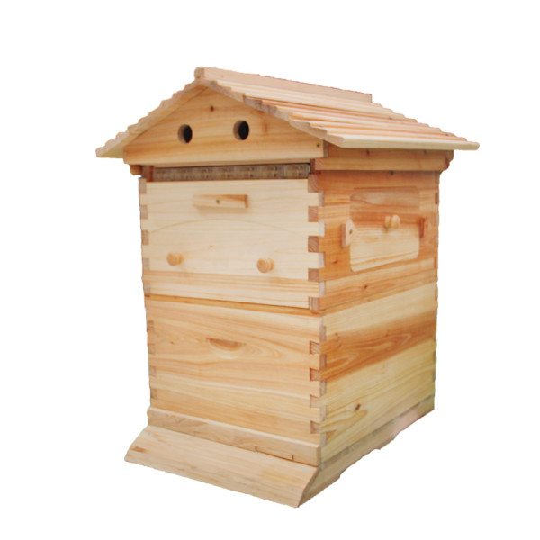 Auto Flow Beehive