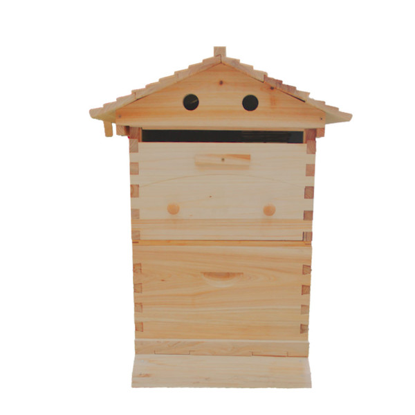 Auto flow beehive 2 layers 7 fames