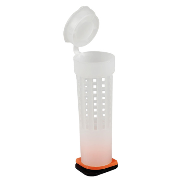 Queen rearing cupkits cag