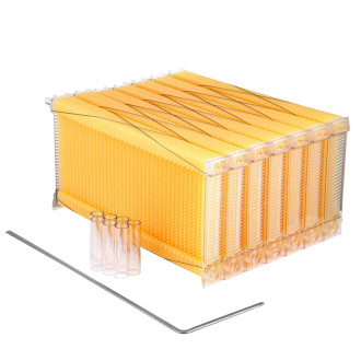 Beekeeping Equipment auto-flow Frame for flow hive for beekeeping