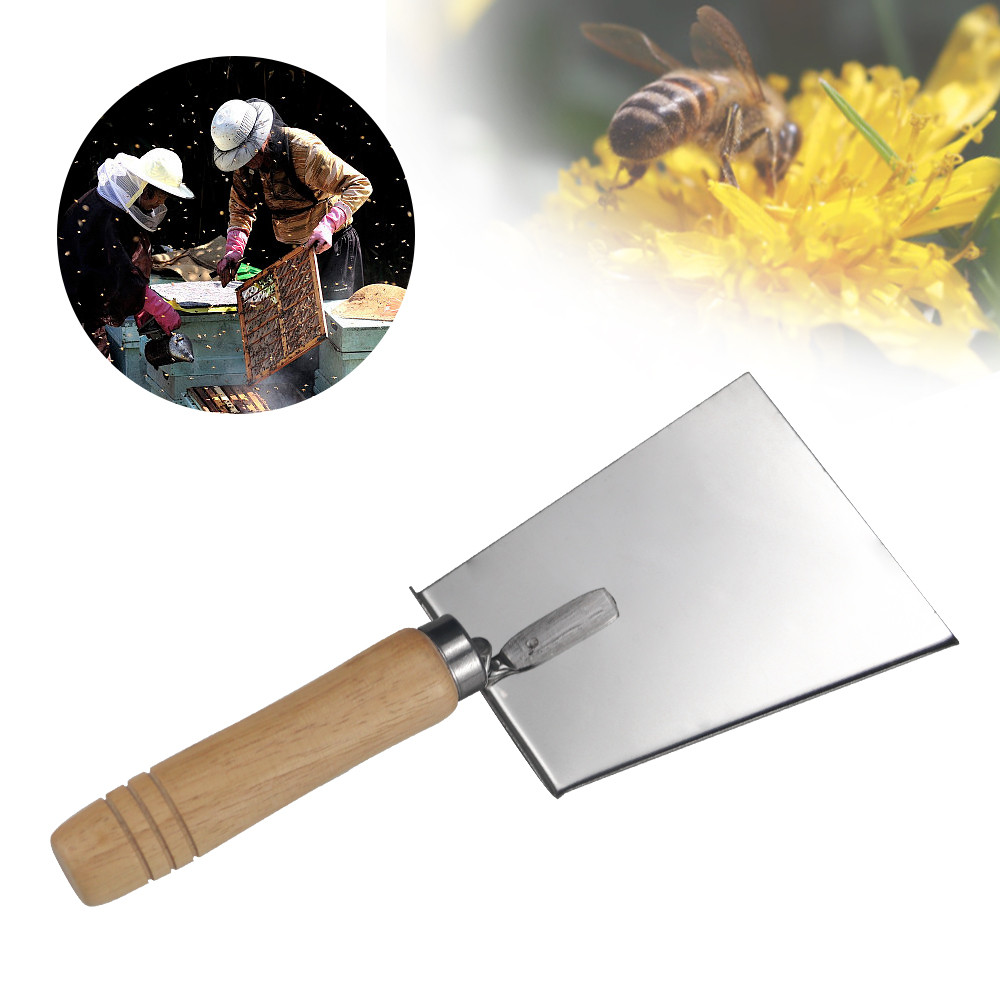 alt="Stainless Steel Beehive Shovel Wood Handle Cleaning tool Beekeeping Clean Tool for beekeeping"