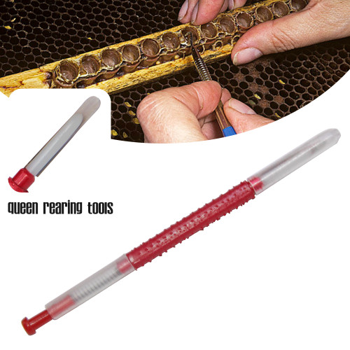 Bee Beekeeping Moving Grafting Needle Tool