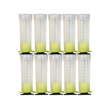 Queen rearing tools beekeeping Nicot queen rearing Kit for beekeeping