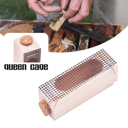 wood queen cage prisoner for catching Queen bees
