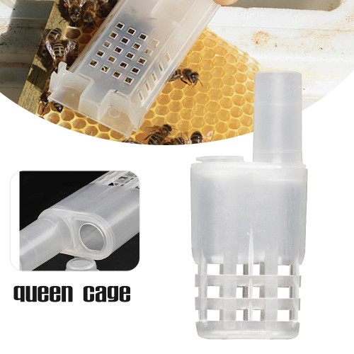 Flip Top Plastic Queen Cage for Catching Queen Bees