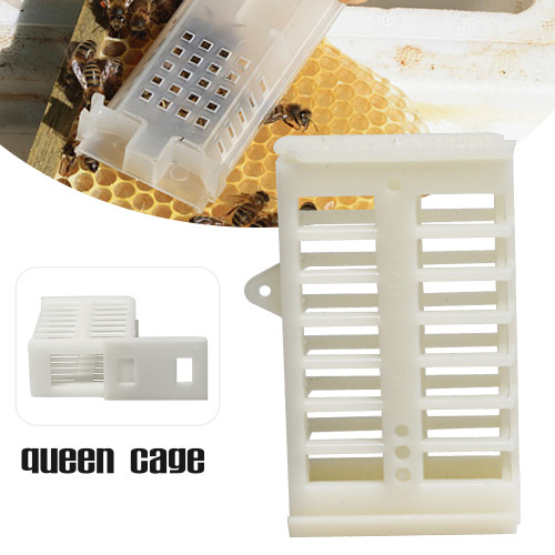 Plastic Match-Box Queen Cage for Moving Catching Queen