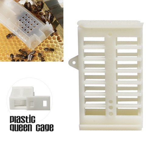 Plastic Match-Box Queen Cage for Moving Catching Queen