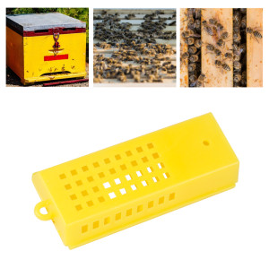 Beekeeping supplies Plastic Queen Bee Cages for catching Queen Bees