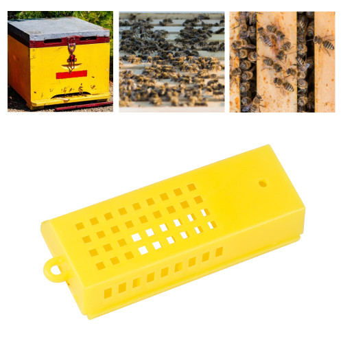 Beekeeping supplies Plastic Queen Bee Cages for catching Queen Bees