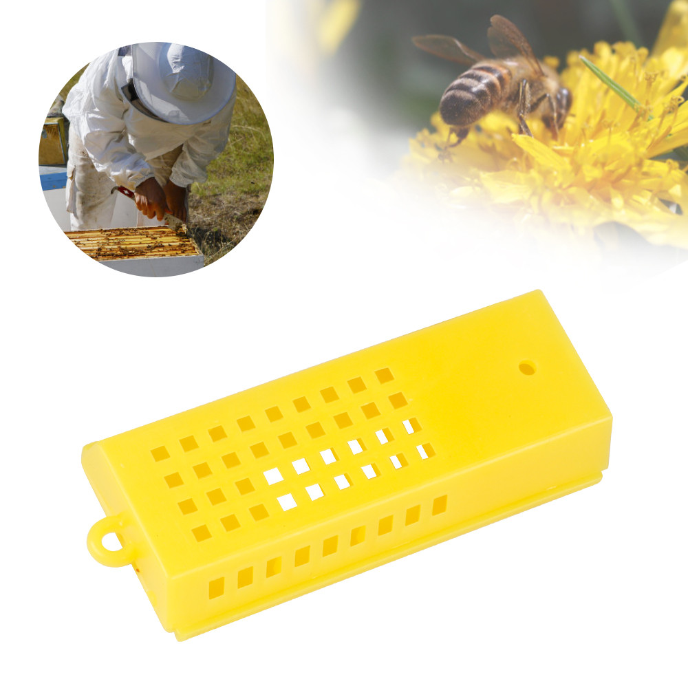 Beekeeping supplies Plastic Queen Bee Cages for catching Queen Bees