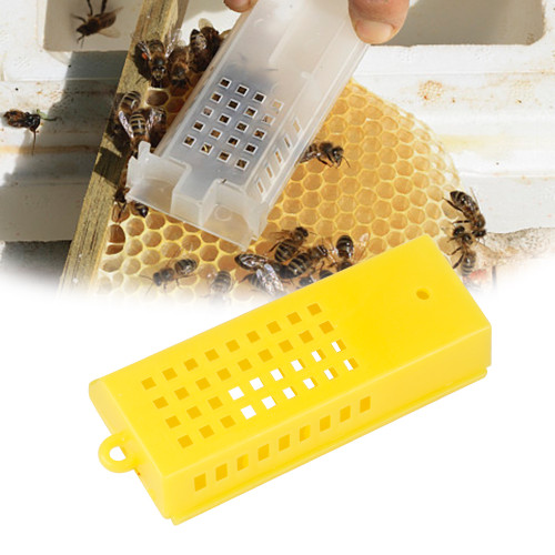 Beekeeping supplies Plastic Queen Bee Cages for catching Queen Bees